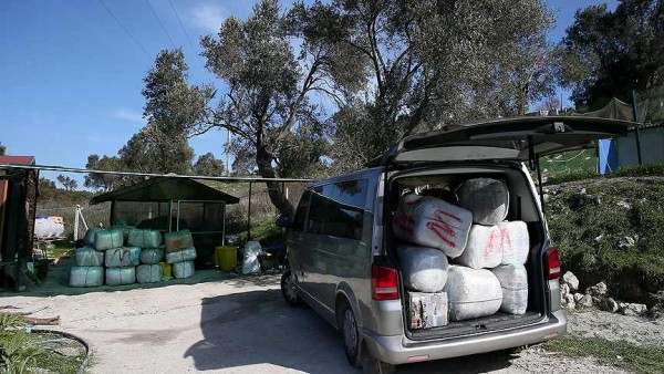 Tons of cannabis seized during joint investigation Sunshine supported ...